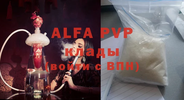 гашик Абаза