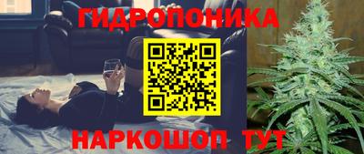 apvp Гай