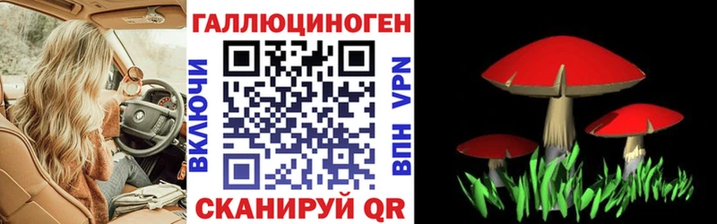 гидра   Ефремов  Галлюциногенные грибы Cubensis 