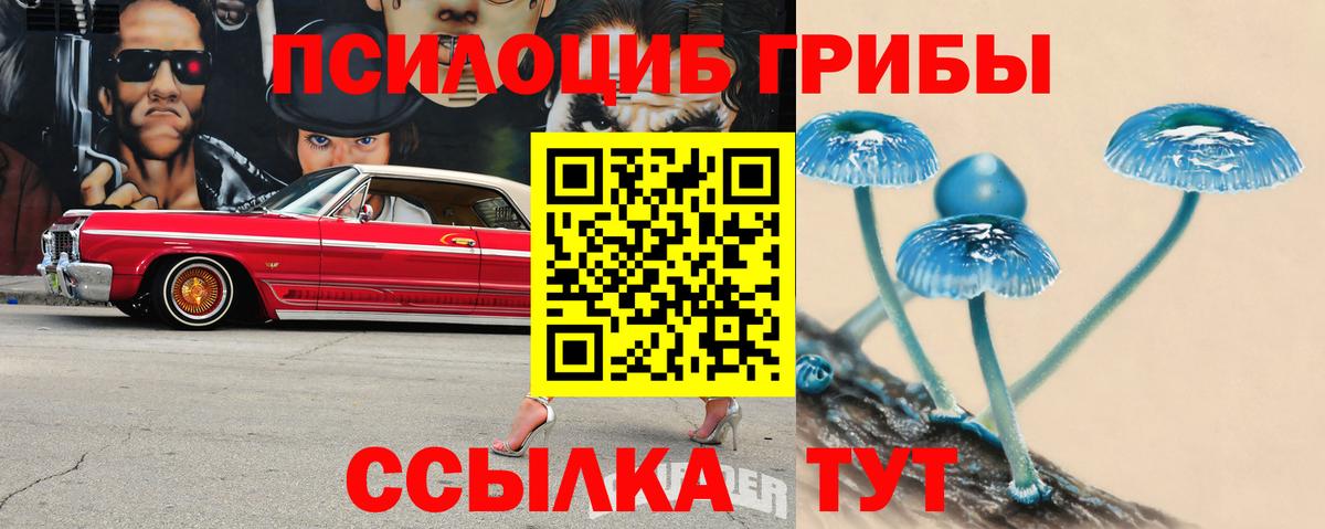 продажа наркотиков  Псилоцибиновые грибы GOLDEN TEACHER  Вход с VPN  Ефремов 