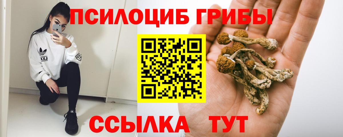 Галлюциногенные грибы ЛСД Ефремов